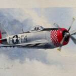 De magnifiques aquarelles : avions, oiseaux... A retrouver sur franckherete.com