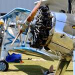 Par cette chaleur : un peu d'ombre pour une sieste sous l'aile des Stearman