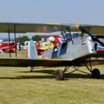 Avions bien alignés, circulation dans les allées réglée par les parqueurs
